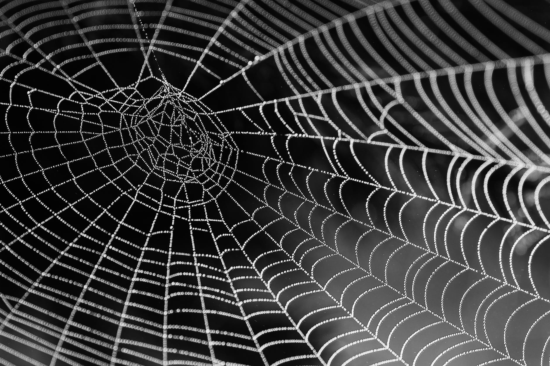 Psychotherapie und die Hermeneutik der Unterdrückung